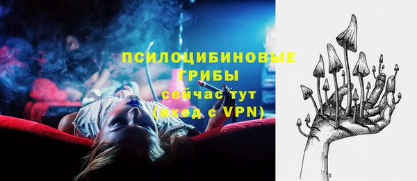 СК Волосово