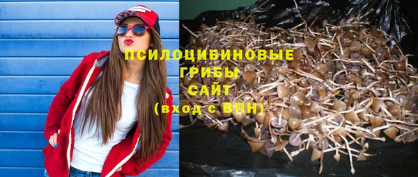 скорость Верхний Тагил