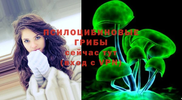 стаф Волоколамск